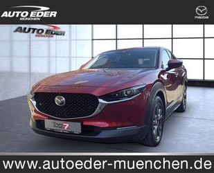Mazda CX-30 Gebrauchtwagen