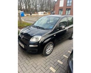 Fiat New Panda Gebrauchtwagen