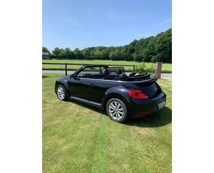 VW Beetle Gebrauchtwagen