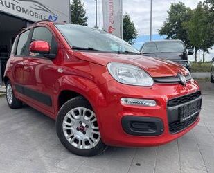 Fiat Panda Gebrauchtwagen