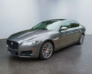 Jaguar XF Gebrauchtwagen