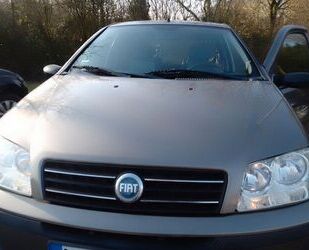 Fiat Punto Gebrauchtwagen