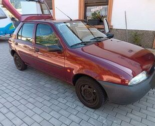 Ford Fiesta Gebrauchtwagen