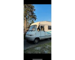 Fiat Ducato Gebrauchtwagen