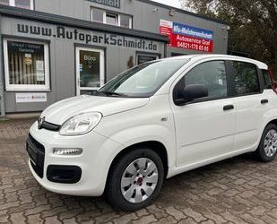 Fiat Panda Gebrauchtwagen