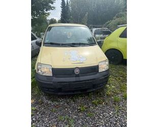 Fiat New Panda Gebrauchtwagen