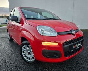 Fiat Panda Gebrauchtwagen