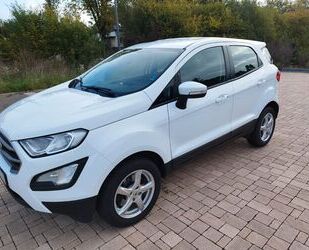 Ford EcoSport Gebrauchtwagen