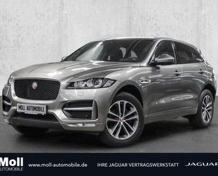 Jaguar F-Pace Gebrauchtwagen