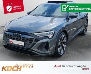 Audi Q8 e-tron Gebrauchtwagen