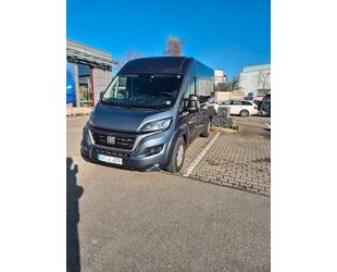 Fiat Ducato Gebrauchtwagen