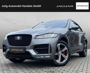 Jaguar F-Pace Gebrauchtwagen