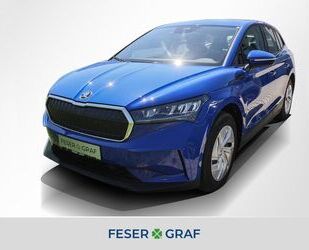 Skoda Enyaq Gebrauchtwagen