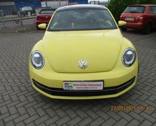 VW Beetle Gebrauchtwagen