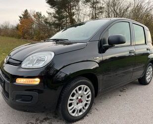 Fiat Panda Gebrauchtwagen