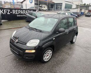 Fiat Panda Gebrauchtwagen