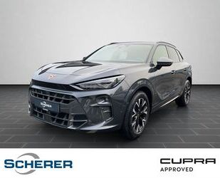 Cupra Terramar Gebrauchtwagen