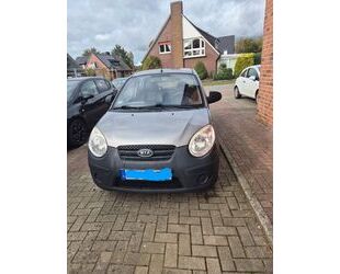 Kia Picanto Gebrauchtwagen