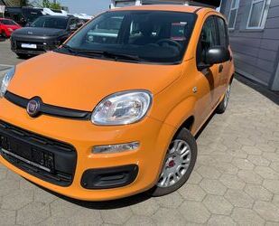 Fiat Panda Gebrauchtwagen