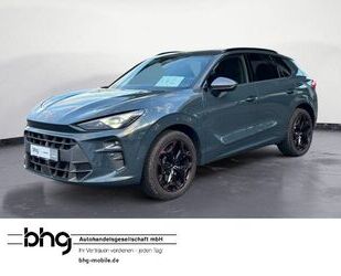 Cupra Terramar Gebrauchtwagen