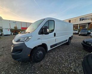 Fiat Ducato Gebrauchtwagen