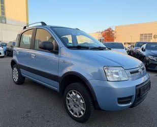 Fiat Panda Gebrauchtwagen