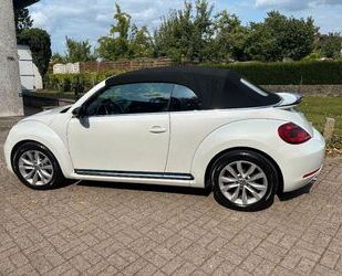 VW Beetle Gebrauchtwagen