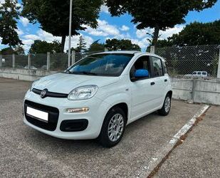 Fiat Panda Gebrauchtwagen