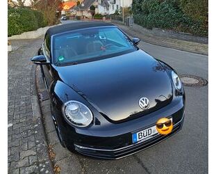 VW Beetle Gebrauchtwagen