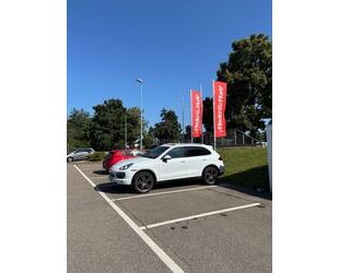 Porsche Cayenne Gebrauchtwagen