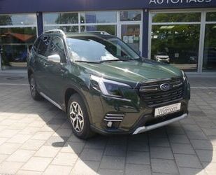 Subaru Forester Gebrauchtwagen