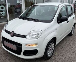 Fiat Panda Gebrauchtwagen