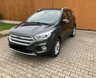Ford Kuga Gebrauchtwagen