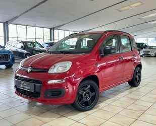 Fiat Panda Gebrauchtwagen