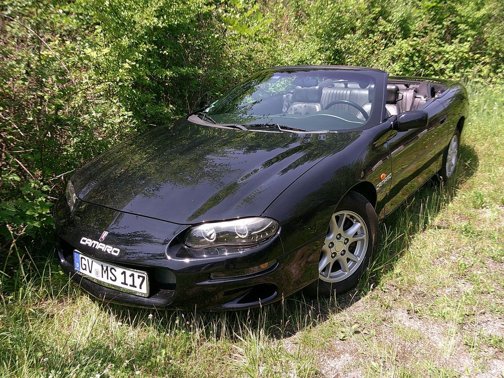 Bild 1