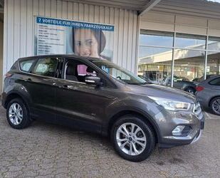 Ford Kuga Gebrauchtwagen