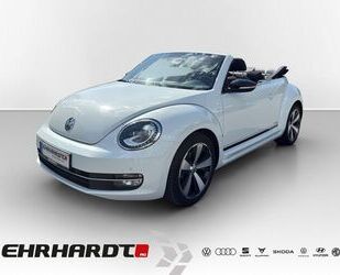 VW Beetle Gebrauchtwagen