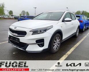 Kia XCeed Gebrauchtwagen