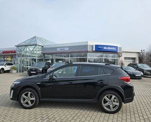 Subaru XV Gebrauchtwagen