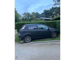 Fiat Punto Evo Gebrauchtwagen