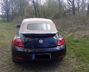 VW Beetle Gebrauchtwagen