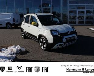Fiat Panda Gebrauchtwagen