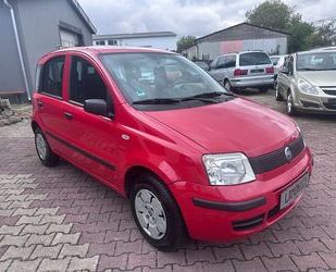 Fiat New Panda Gebrauchtwagen
