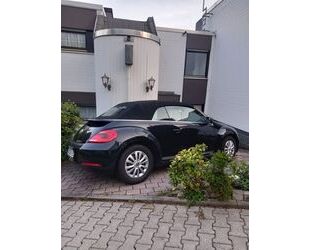 VW Beetle Gebrauchtwagen