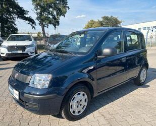 Fiat Panda Gebrauchtwagen