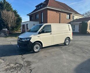 VW T6 Transporter Gebrauchtwagen