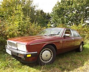 Jaguar XJ40 Gebrauchtwagen