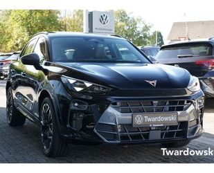 Cupra Terramar Gebrauchtwagen