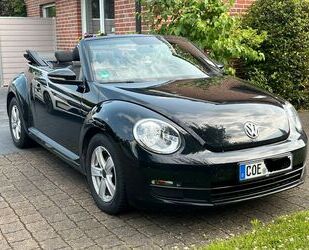 VW Beetle Gebrauchtwagen