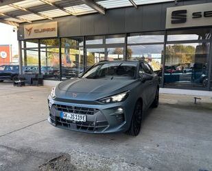 Cupra Terramar Gebrauchtwagen